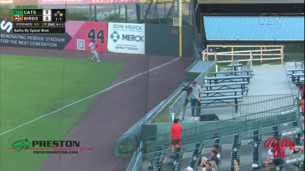 Highlights: Hillcats Score 8 Straight to Knock Off Shorebirds 8-5 in Series Opener